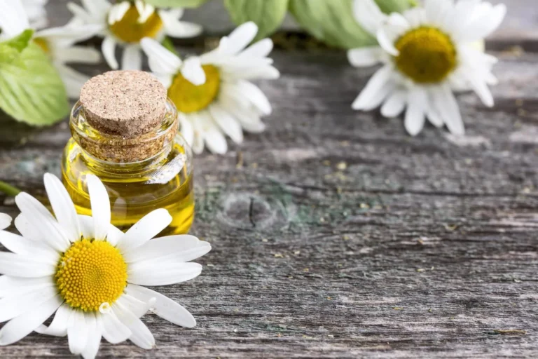 high-angle-natural-medicine-concept